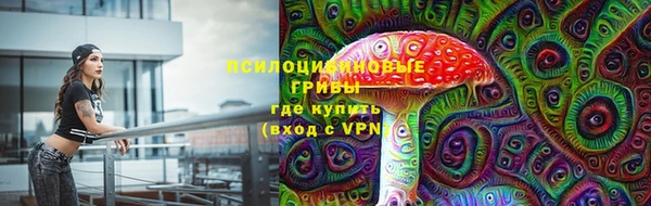 шишки Володарск